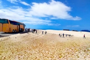 Fuerteventura: Corralejo Sand Dunes Guided Shore Excursion