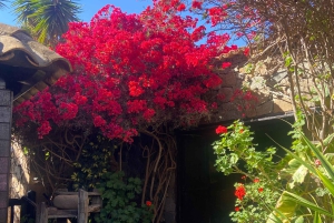 Fuerteventura: tour privato personalizzato dell'isola