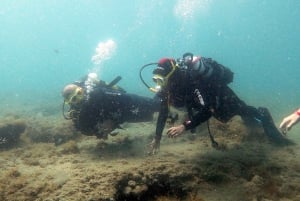 Fuerteventura : Discover Scuba Diving