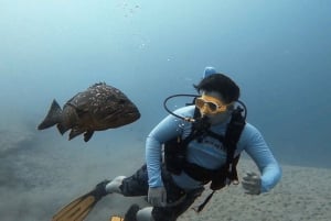 Fuerteventura : Discover Scuba Diving