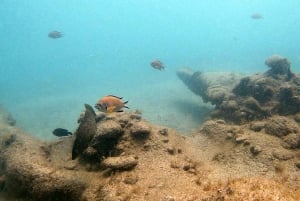 Fuerteventura : Discover Scuba Diving