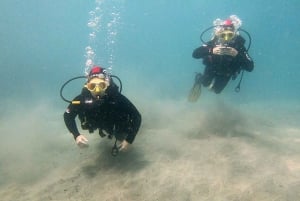 Fuerteventura : Discover Scuba Diving