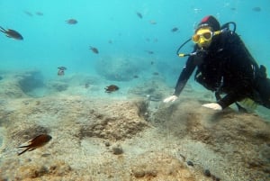 Fuerteventura : Discover Scuba Diving