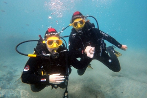 Fuerteventura : Discover Scuba Diving