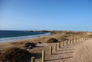 Fuerteventura: Discovery Tour