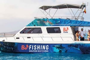 Фуэртевентура: комбинированный круиз по острову Лобо и наблюдение за дельфинами