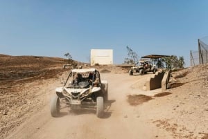 Fuerteventura: Dune Buggy Tour in Northern Fuerteventura