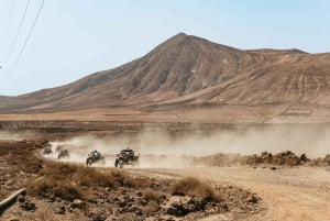 Fuerteventura: Dune Buggy Tour in Northern Fuerteventura