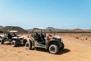 Fuerteventura: Dune Buggy Tour in Northern Fuerteventura