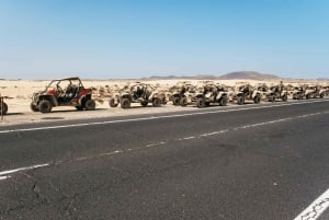 Fuerteventura: Dune Buggy Tour in Northern Fuerteventura