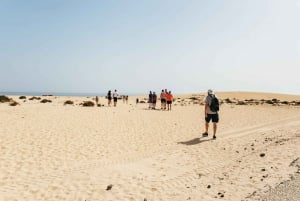 Fuerteventura: Dune Buggy Tour in Northern Fuerteventura