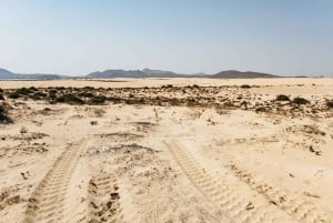 Fuerteventura: Dune Buggy Tour in Northern Fuerteventura