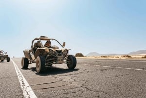 Fuerteventura: Dune Buggy Tour in Northern Fuerteventura