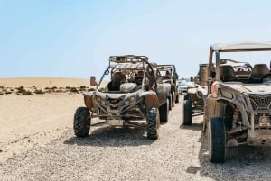 Fuerteventura: Dune Buggy Tour in Northern Fuerteventura