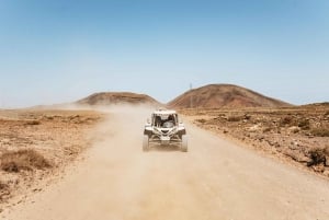 Fuerteventura: Dune Buggy Tour in Northern Fuerteventura