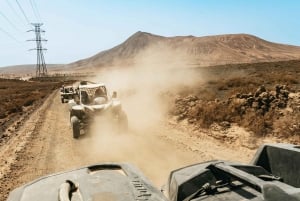 Fuerteventura: Dune Buggy Tour in Northern Fuerteventura