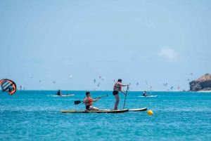 Fuerteventura: Explore Costa Calma Bay on a SUP Board!