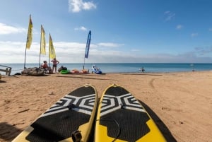 Fuerteventura: Explore Costa Calma Bay on a SUP Board!