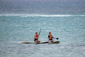 Fuerteventura: Explore Costa Calma Bay on a SUP Board!