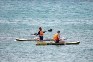 Fuerteventura: Explore Costa Calma Bay on a SUP Board!