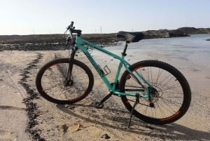 Fuerteventura: Explore the Area with a Bike Rental