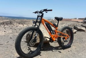 Fuerteventura: Explore the Area with a Bike Rental