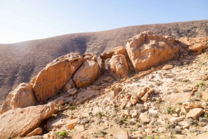 Fuerteventura: Explore the Natural Wonders of the Island