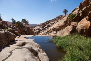 Fuerteventura: Explore the Natural Wonders of the Island