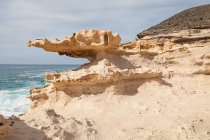 Fuerteventura: Explore the Natural Wonders of the Island