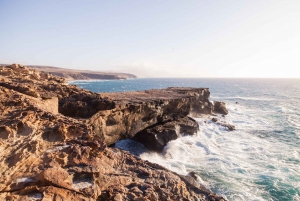 Fuerteventura: Explore the Natural Wonders of the Island