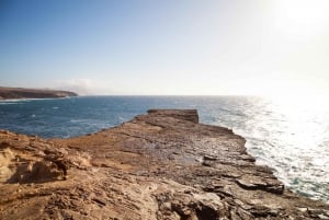 Fuerteventura: Explore the Natural Wonders of the Island