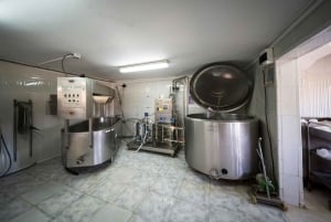 Fuerteventuran maatila-, luola- ja maaseutukyläretki lounaalla