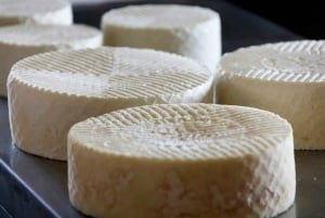 Fuerteventuran maatila-, luola- ja maaseutukyläretki lounaalla