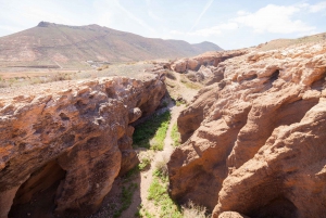 Fuerteventura: Full Day - Explore the Vulcanic North