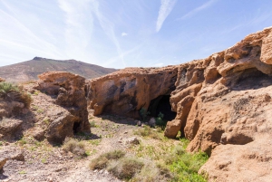 Fuerteventura: Full Day - Explore the Vulcanic North