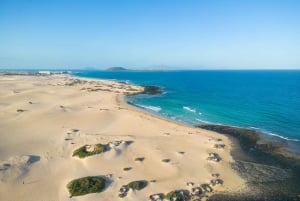 Fuerteventura: Full Day - Explore the Vulcanic North