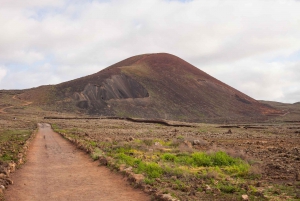 Fuerteventura: Full Day - Explore the Vulcanic North