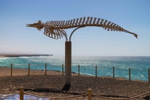 Fuerteventura: Full Day - Explore the Vulcanic North