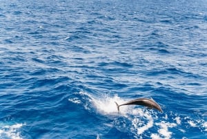 Fuerteventura: Glass Bottom Boat Cruise with Lunch & Drinks