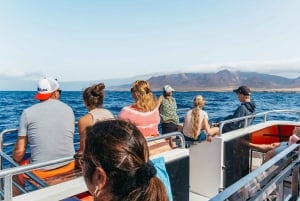 Fuerteventura: Glass Bottom Boat Cruise with Lunch & Drinks