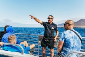 Fuerteventura: Glass Bottom Boat Cruise with Lunch & Drinks