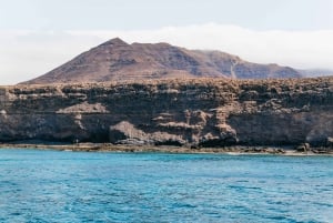 Fuerteventura: Glass Bottom Boat Cruise with Lunch & Drinks