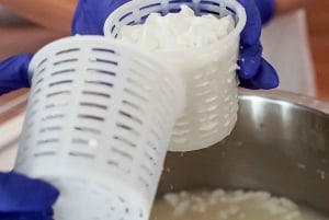 Workshop di formaggio di capra gourmet a Fuerteventura