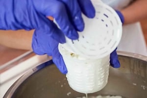 Workshop di formaggio di capra gourmet a Fuerteventura