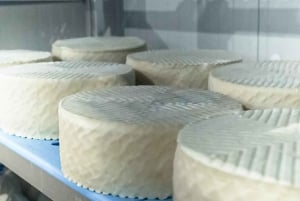 Workshop di formaggio di capra gourmet a Fuerteventura