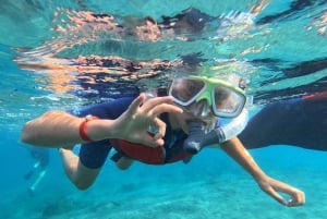 Fuerteventura: Guided Snorkeling in La Lajita with Pickup