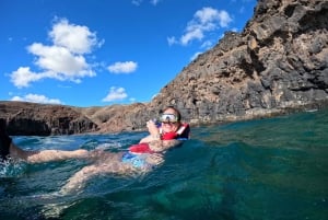 Fuerteventura: Guided Snorkeling in La Lajita with Pickup