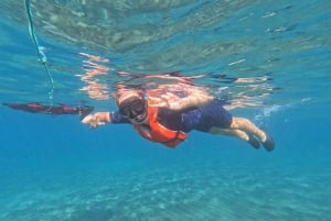 Fuerteventura: Guided Snorkeling in La Lajita with Pickup