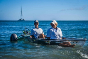 Fuerteventura: Transparent Electric Kayaks with Guide