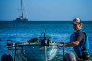 Fuerteventura: Transparent Electric Kayaks with Guide